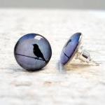 Bird Earrings in Grey Blue Black Ea..