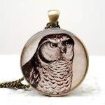 Vintage Owl Necklace, Ivory Dark Brown Pendant,..