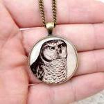 Vintage Owl Necklace, Ivory Dark Brown Pendant,..
