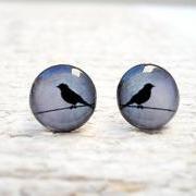 Bird Earrings in Grey Blue Black Ear Studs, Small Bird Ear Posts Earrings, Gift Bridesmaids